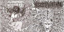 Agoraphobic Nosebleed : Agoraphobic Nosebleed - Insect Warfare